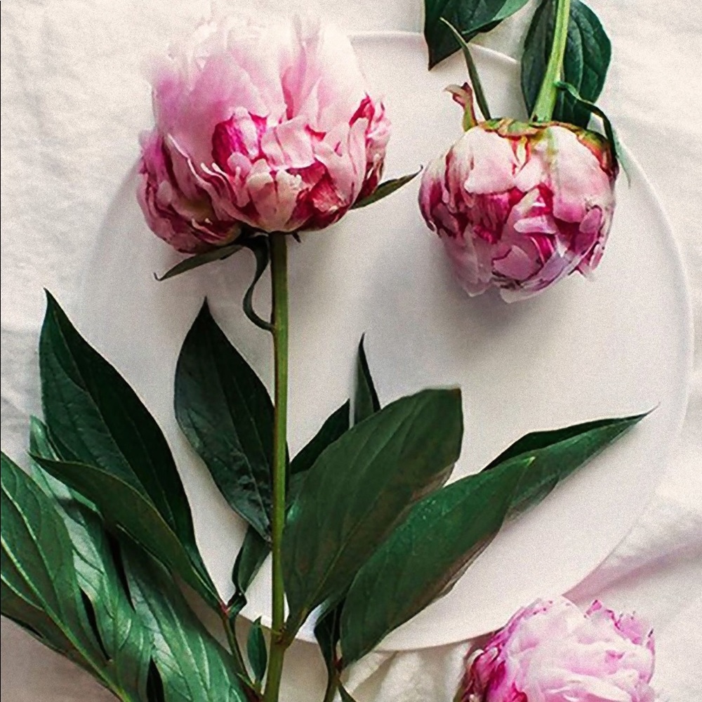 Meet your Posher, Denise